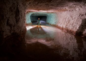 DOF: experts hired would form five MICC review teams