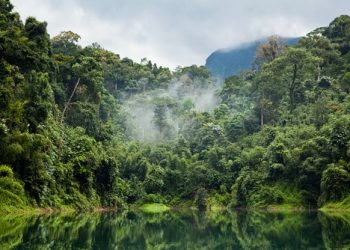 Greenpeace: Sapa may result in exploitation of PAs