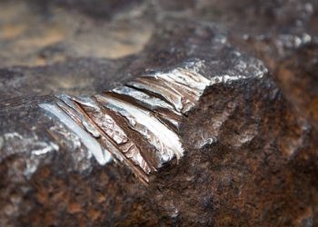 PH expects lower nickel exports this year