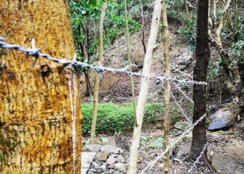 Locals, advocates appeal to halt quarry ops in Masungi Georeserve