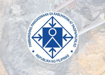 4 out of 45 mining ops pass NEDA review