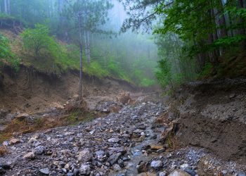 Groups call for probe, halt of mining ops after Davao de Oro landslide