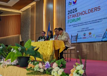 DMC Ensures Responsible Mining and Tree Replanting in Cagayan Valley