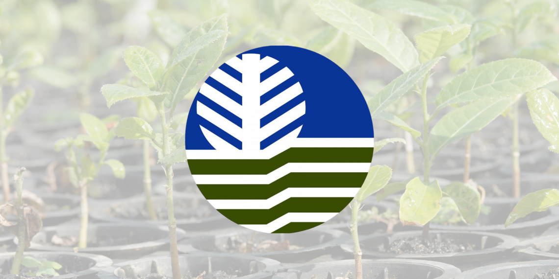 PHP 67M Reforestation by 4 Mining Firms Transforms Cagayan Valley