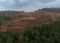 Celestial Nickel proposes doubling Ipilan output to 3 million WMT